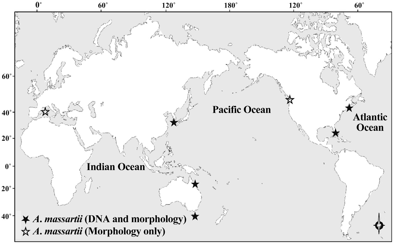 The global distribution of Amphidinium massartii. Closed stars indicate sampling locations of A. massartii strains for which both DNA sequences and morphology have been reported. Open stars indicate sampling locations of A. massartii strains for which only morphology has been reported.