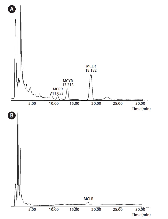 Typical chromatograms of highly concentrated microcystin
standards (A) and a real unknown sample containing microcystin LR (B).
MCRR, microcystin RR; MCYR, microcystin YR; MCLR, microcystin LR.
