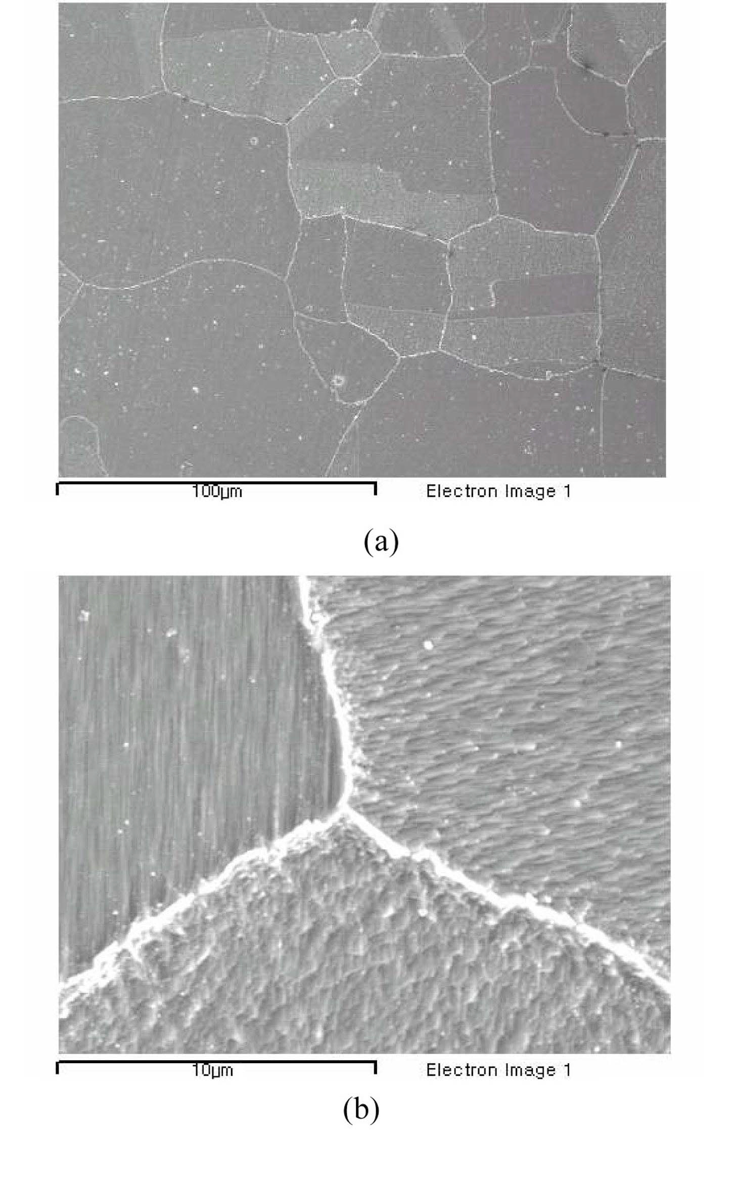 SEM Micrographs Showing Grain Boundary Carbides of Sensitized Alloy 600 Tube.