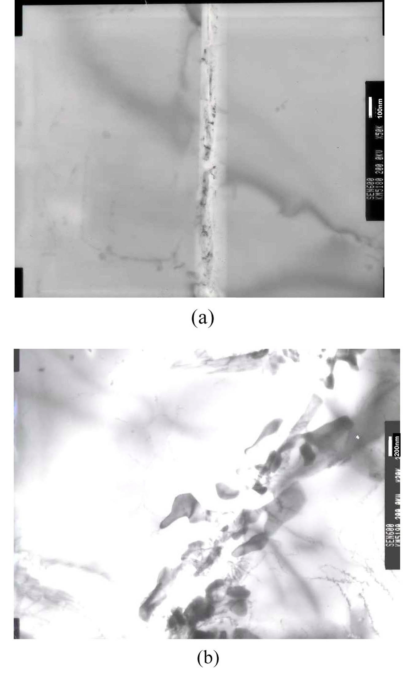 TEM Micrographs Showing Grain Boundary Carbides in a Sensitized Alloy 600 Tube.