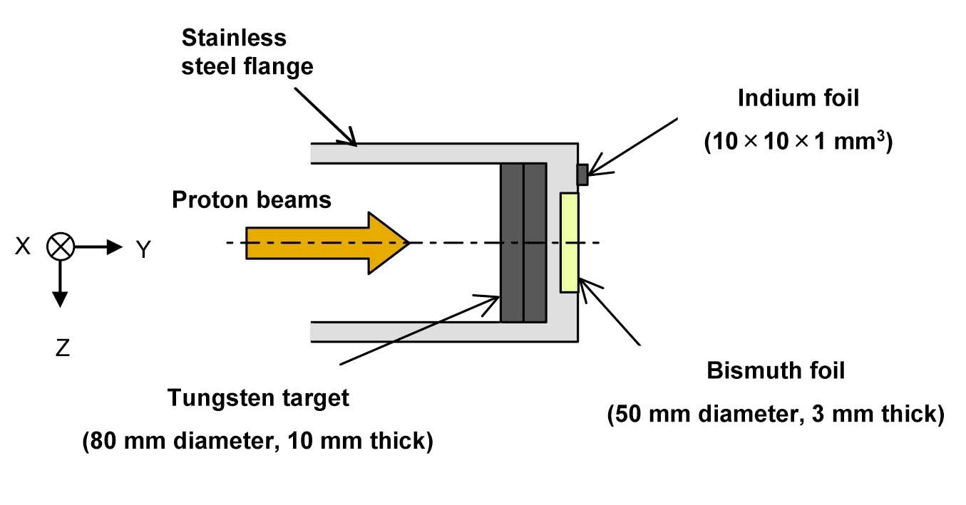 Experimental Setting of Activation Foils (Bi and In) for Measuring the Reaction Rates at the Target Position