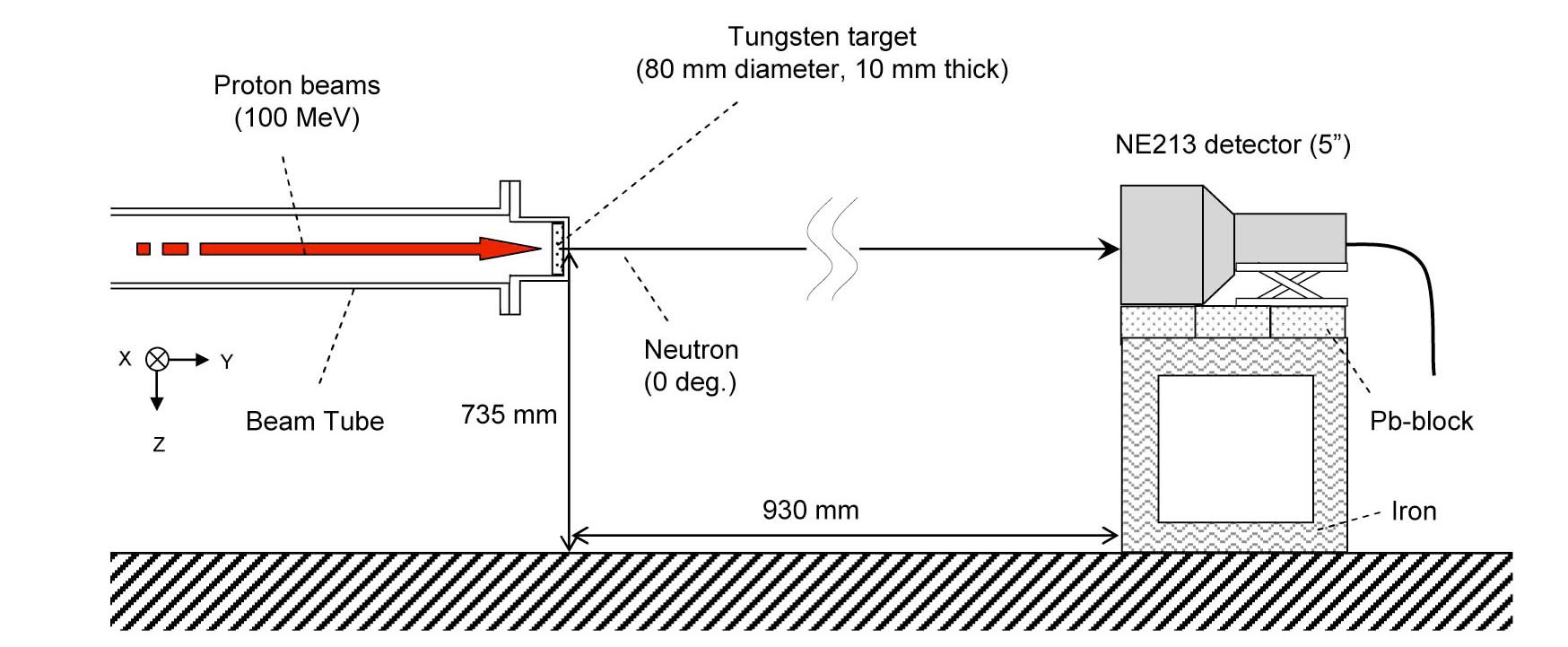 Experimental Setting of the Organic Liquid Scintillator (NE213)