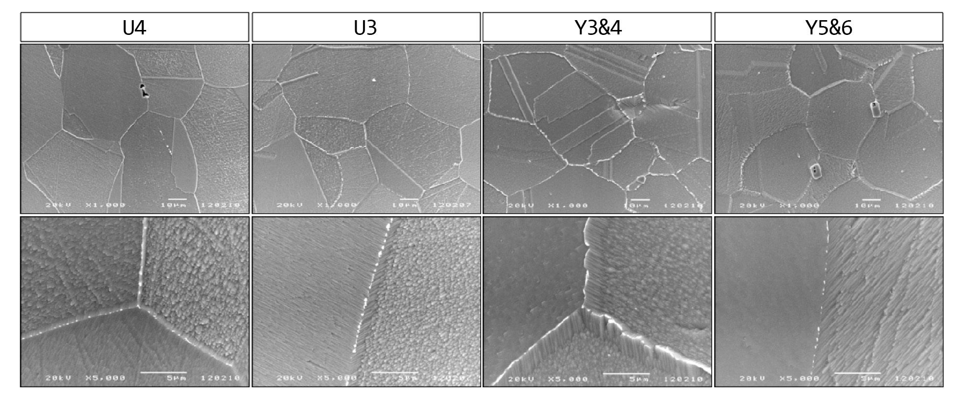 Microstructures of SG Tubes in U4, U3, Y3&4, and Y5&6 Units