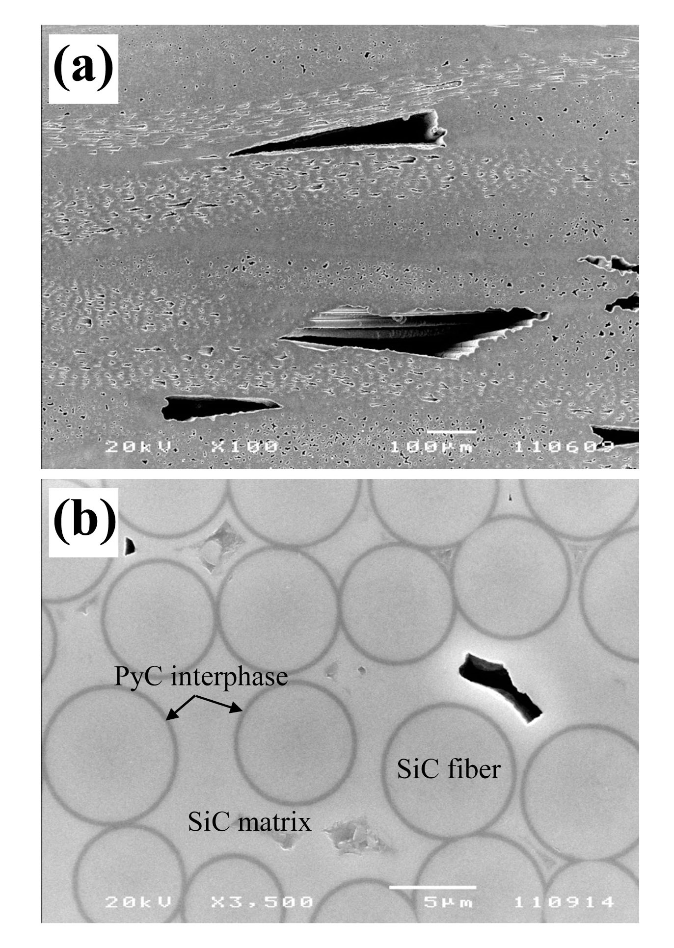 Typical Microstructures of the SiCf/SiC Composite Fabricated by the CVI Process. (b) is an Enlarged Image of (a).