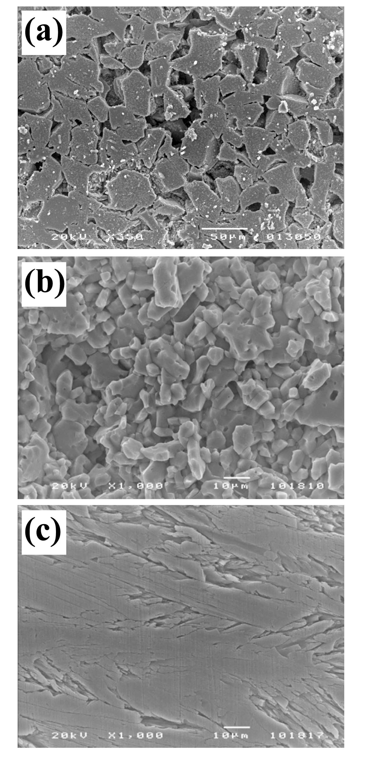 SEM Microstructures for the Surfaces of (a) Reaction- Bonded SiC, (b) Sintered SiC, and (c) CVD SiC Ceramics after Corrosion Tests for 7 Days in 360℃ Water [33,34].