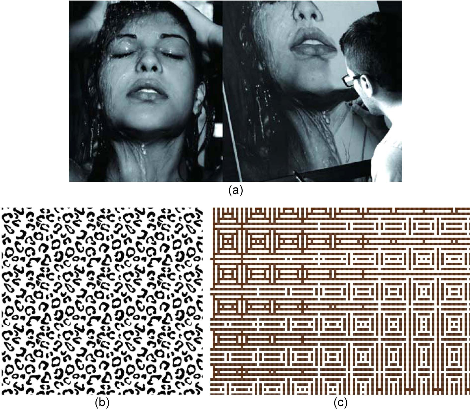Three types of visual texture. (a) Simulated texture in a photorealistic pencil drawing named Sensazioni by D. Fazio. diegokoi.it, (b) Abstract texture of leopard printing. www.nipic.com, (c) Invented texture. arts.unomaha.edu.