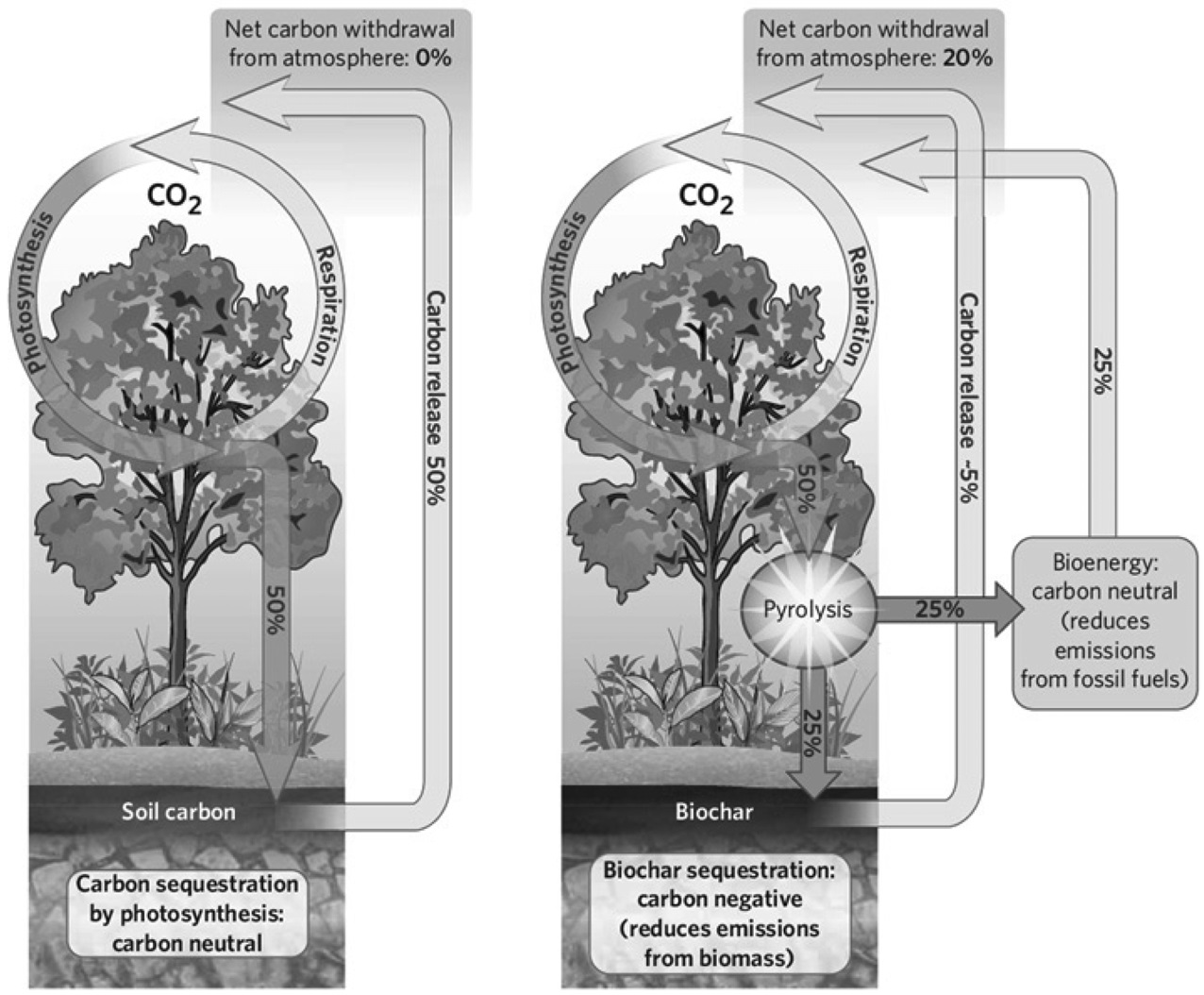 Comparison of carbon negative biochar sequestration to carbon neutral photosynthesis[2], with permission from the publisher.