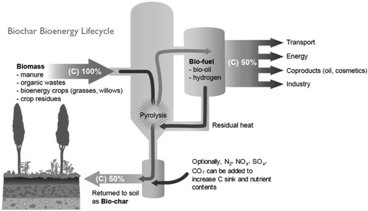 The overall process of pyrolysis for the production of biochar[23], with permission from the publisher.