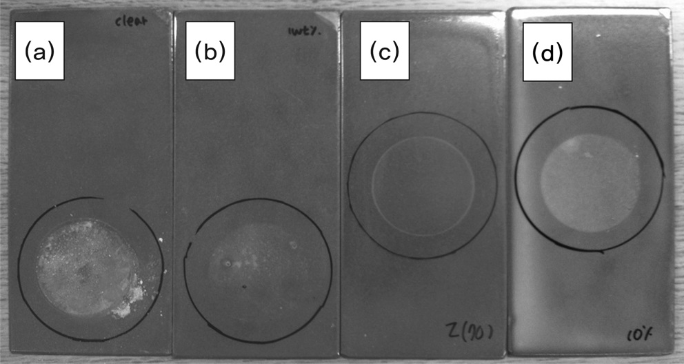 Photographs of coated specimens after 1 month corrosion test. (a) unpigmented coating (b) coating with 1 wt% ZP/mica preprared at 70℃ (c) coating with 5 wt% ZP/mica preprared at 70℃ (d) coating with 10 wt% ZP/mica preprared at 70℃.
