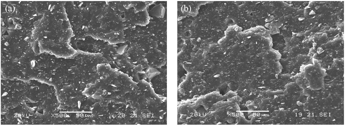 SEM images of EPDM/G-ash/talc and EPDM/G-CT0.5/talc composite.