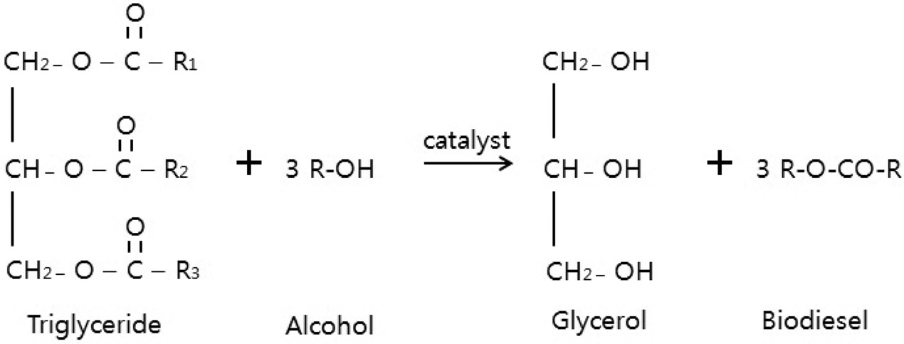 Trans-esterification of tri-glyceride with alcohol to produce biodiesel and glycerol.