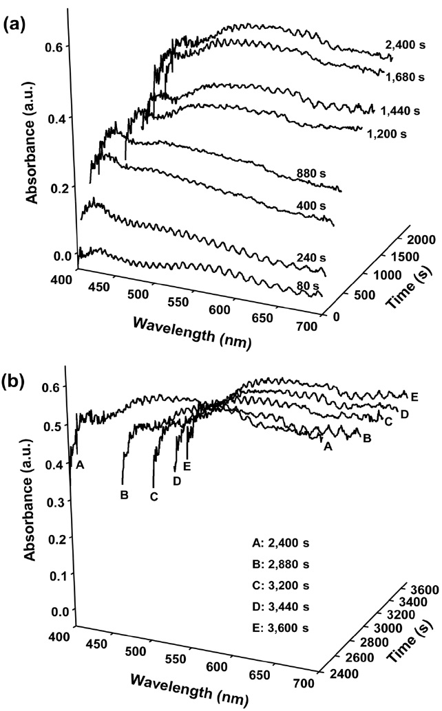 Optical absorption spectra of H-ZSM-5 crystals taken during aromatization with 2-methyl-2-butene at 773 K; (a) during reaction (0~2400 s), (b) N2 purge after ceasing feed-in (2400~3600 s). The spectra were taken from a spot in the crystal edge.