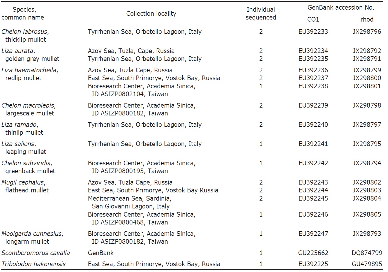 List of Mugilidae species studied with collection locality, number of individuals sequenced, GenBank accession number