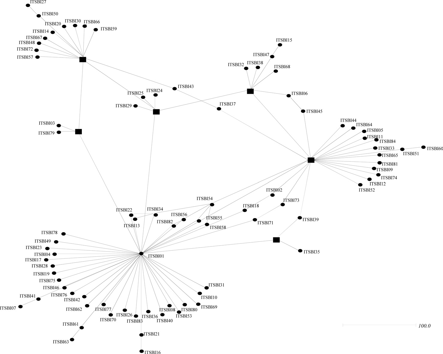 Median-Joining networks indicating the relationship among 84 ITS2 sequence types. The branch lengths represent the amount of
character-state changes occurring on that branch. Circular dots represent sequence types found in this study, whereas rectangles indicate the
hypothetical ones that were not found in this study.