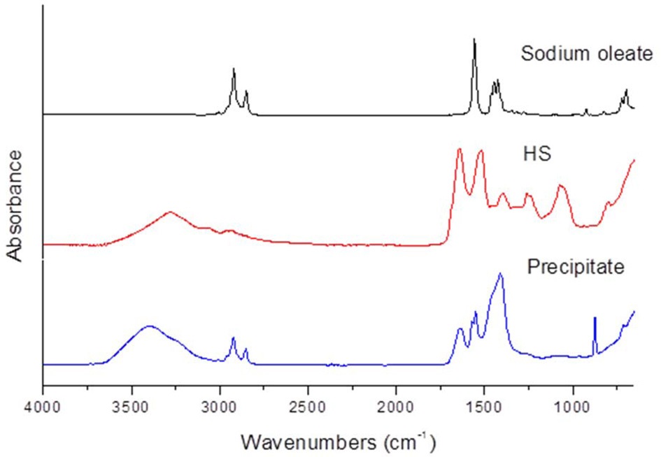 FT-IR spectra of sodium oleate, hot-water-extracted
sericin (HS), and precipitate obtained after adding 10 wt% of
calcium chloride.