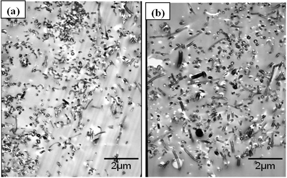 Characteristic transmission electron microscopy images at 10000× magnification of (a) configuration 2 and (b) configuration 3 as used
with the point count method to approximate the local nanofiber volume
fraction within the agglomerations.