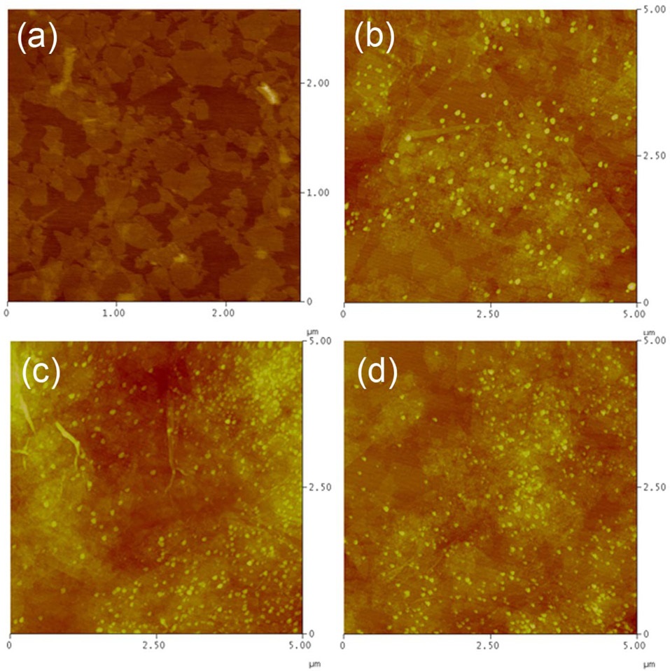 Atomic force microscopy images of the GOs and the MgO/GOs:
(a) as synthesized GOs, (b) MgO/GOs after 1 reaction cycle (scan size 2.5
× 2.5 μm) (c) MgO/GOs after 2 reaction cycles, (d) MgO/GOs after 3 reaction
cycles. The scan size for the images (b-d) is 5 × 5 μm. GOs: graphene
oxides, MgO: magnesium oxide.