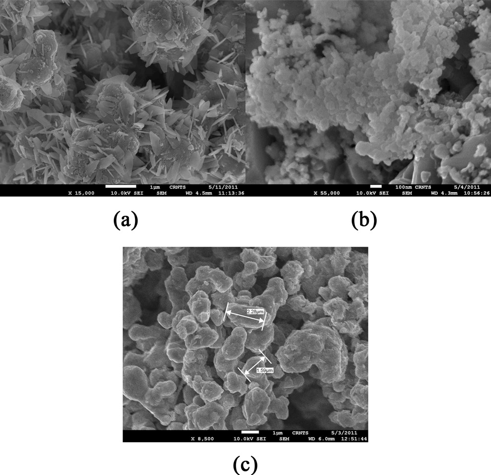 Scanning electron microscopy image of the nanometals: (a) Ni (b)
Zn and (c) Co.