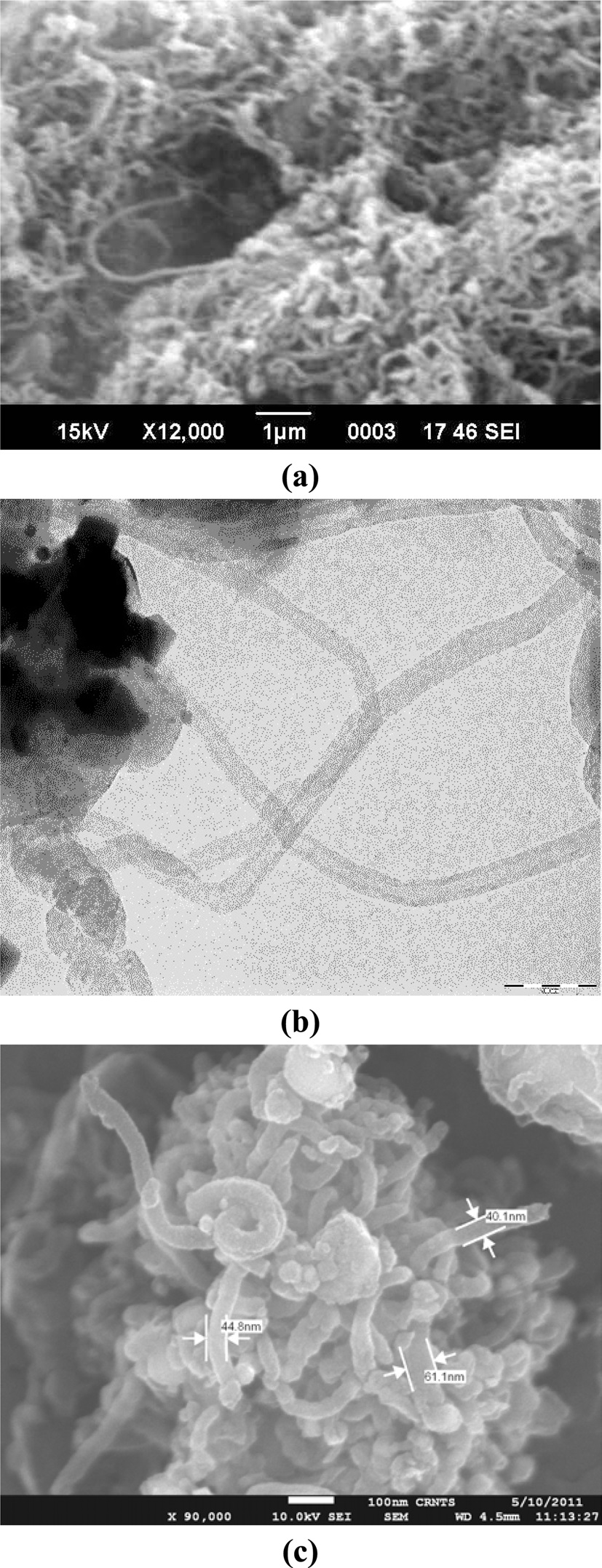 Images of coiled carbon nanotubes from karanja oil synthesized
under different pyrolytic conditions: (a) scanning electron microscopy
(SEM) of coiled nanotubes synthesized in the presence of Ar & Zn at
900℃, (b) transmission electron microscopy (TEM) of coiled nanotubes
synthesized in the presence of H & Ni at 500℃, and (c) high-resolution
SEM of coiled nanotubes synthesized in the presence of N & Co at 700℃.