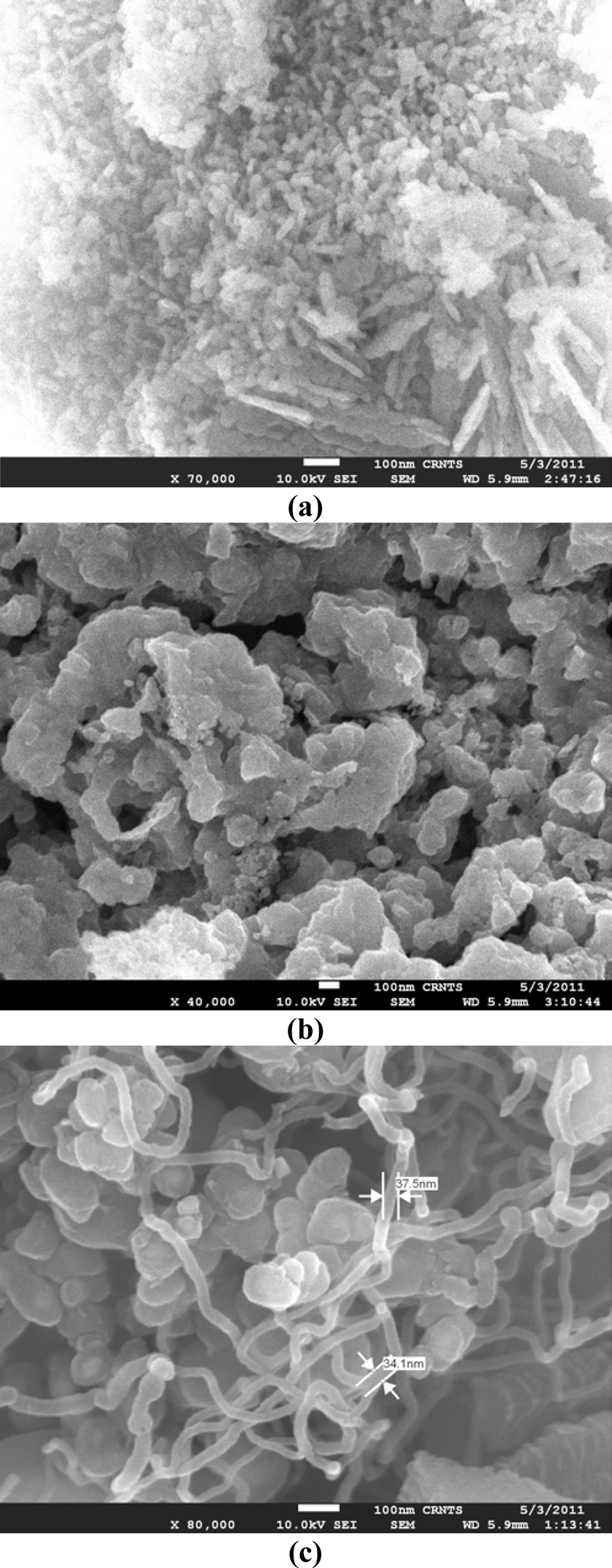 High-resolution scanning electron microscopy images of carbon
from castor oil synthesized under different pyrolytic conditions i.e., (a) Ar
& Ni at 700℃ showing a mixture of needle, beads and several undefined
shapes, (b) N & Zn at 500℃ showing irregular shapes, and (c) H & Co at
900℃ showing coiled nanotubes.
