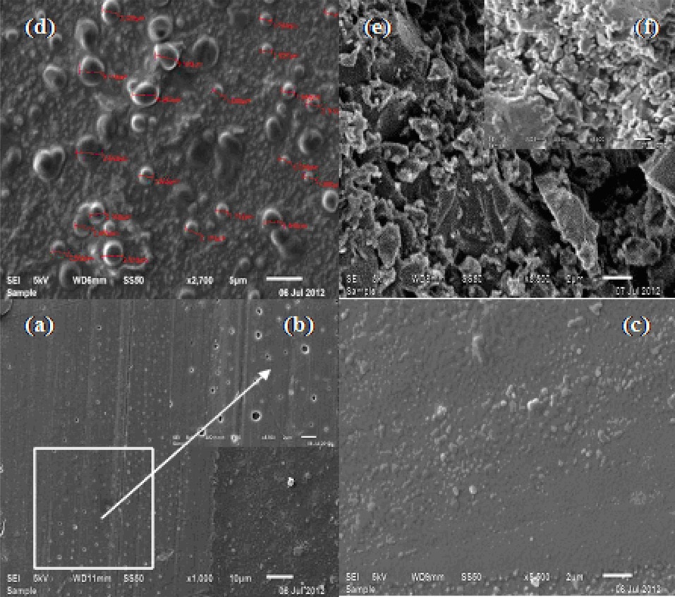 Scanning electron microscopy images of multi-walled carbon
nanotube (MWCNT)/epoxy composites (CECs) synthesized through supercritical
carbon dioxide assisted dispersion at MWCNT concentration
of 0.1 phr at 1.0 KX, 10 μm (a), 0.1 phr (b), 0.2 phr (c), 0.3 phr (d), fractured
surface of CECs at 0.1 phr (e) and 0.3 phr (f ) at 5.5 KX, 2 μm.