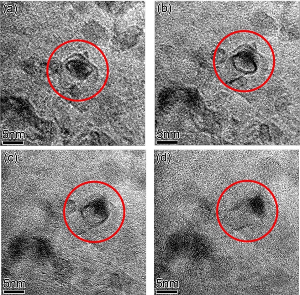 In-situ transmission electron microscope images recorded during
growth at 650℃ in 2.5 mTorr of C2H2 and 7.5 mTorr of H2. Series of
images from (a) to (d) shows the growth of carbon nanotube from the
catalyst surrounded by carbon shells.