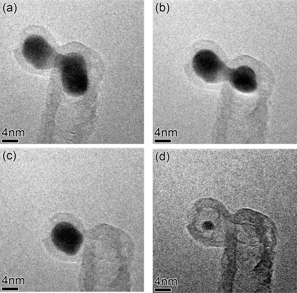 In-situ transmission electron microscope images recorded during
growth at 680℃ in 2.5 mTorr of C2H2 and 7.5 mTorr of H2. Series of
images from (a) to (d) shows the growth termination of individual carbon
nanotube by dissolution of the catalyst particle in the tip growth mode.