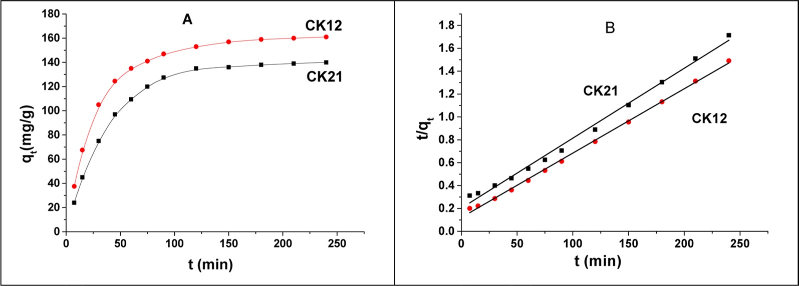 Kinetic adsorption curves (A) and pseudo-second order kinetic plots (B) for adsorption of deltamethrin on CK21 and CK12.