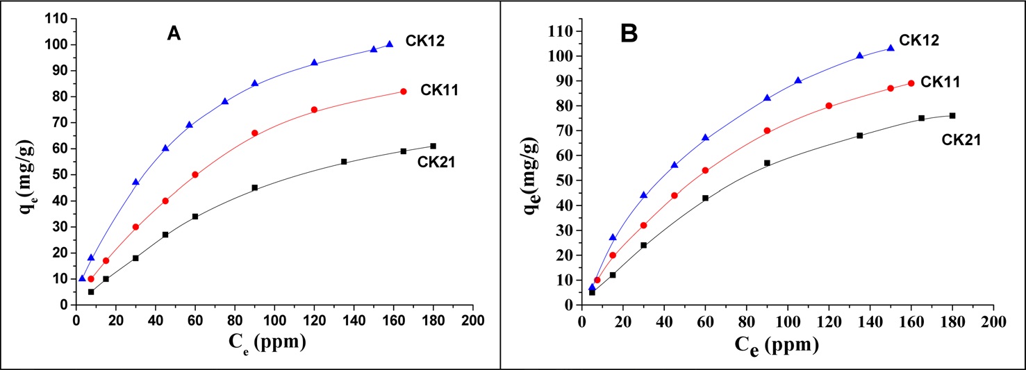 Adsorption isotherms of deltamethrin for CK21, CK11, and CK12 at 19 ℃ (A) and 35 ℃ (B).