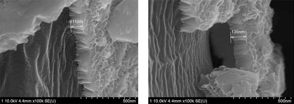 The thickness of Ni-plated polyethylene terephthalate ultramicrofibers.
(a) 5 min, (b) 10 min.