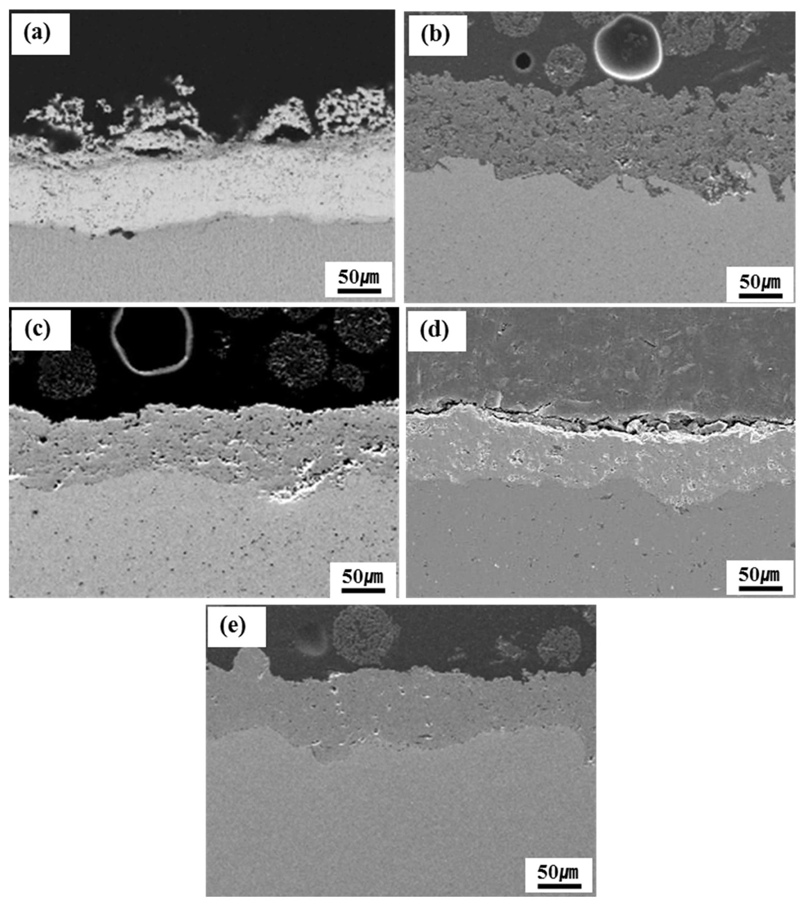 Cross-sectional SEM Micrographs showing the Coating Layer Plasma-sprayed on the Niobium Substrate: (a) TaC, (b) TiC, (c) ZrC, (d) ZrO2, and (e) Y2O3