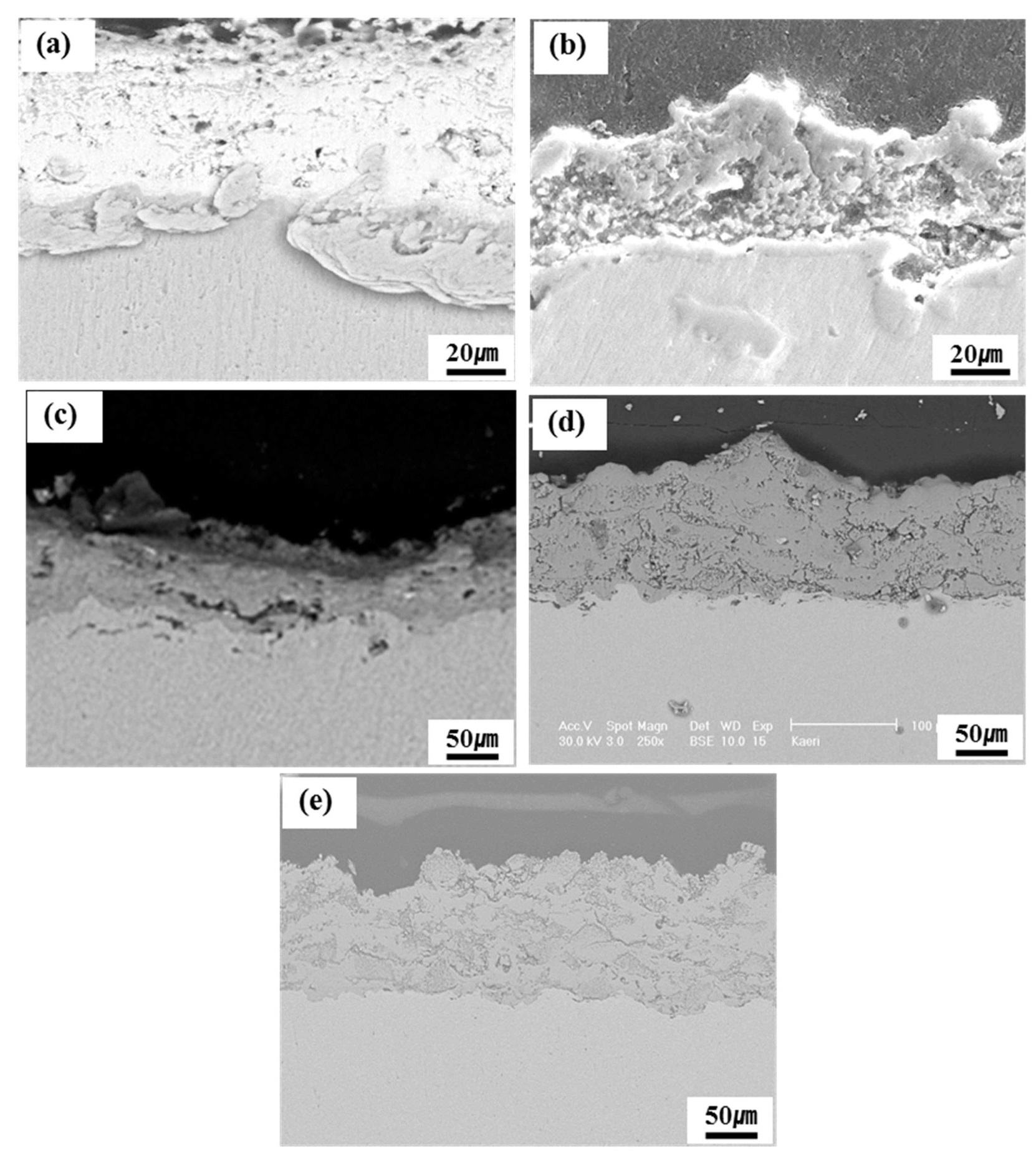Cross-sectional SEM Micrographs showing the Ceramic Coating Layer after 5 Thermal Cycles at 1450℃ for 30 min: (a) TaC, (b) TiC, (c) ZrC, (d) ZrO2, and (e) Y2O3
