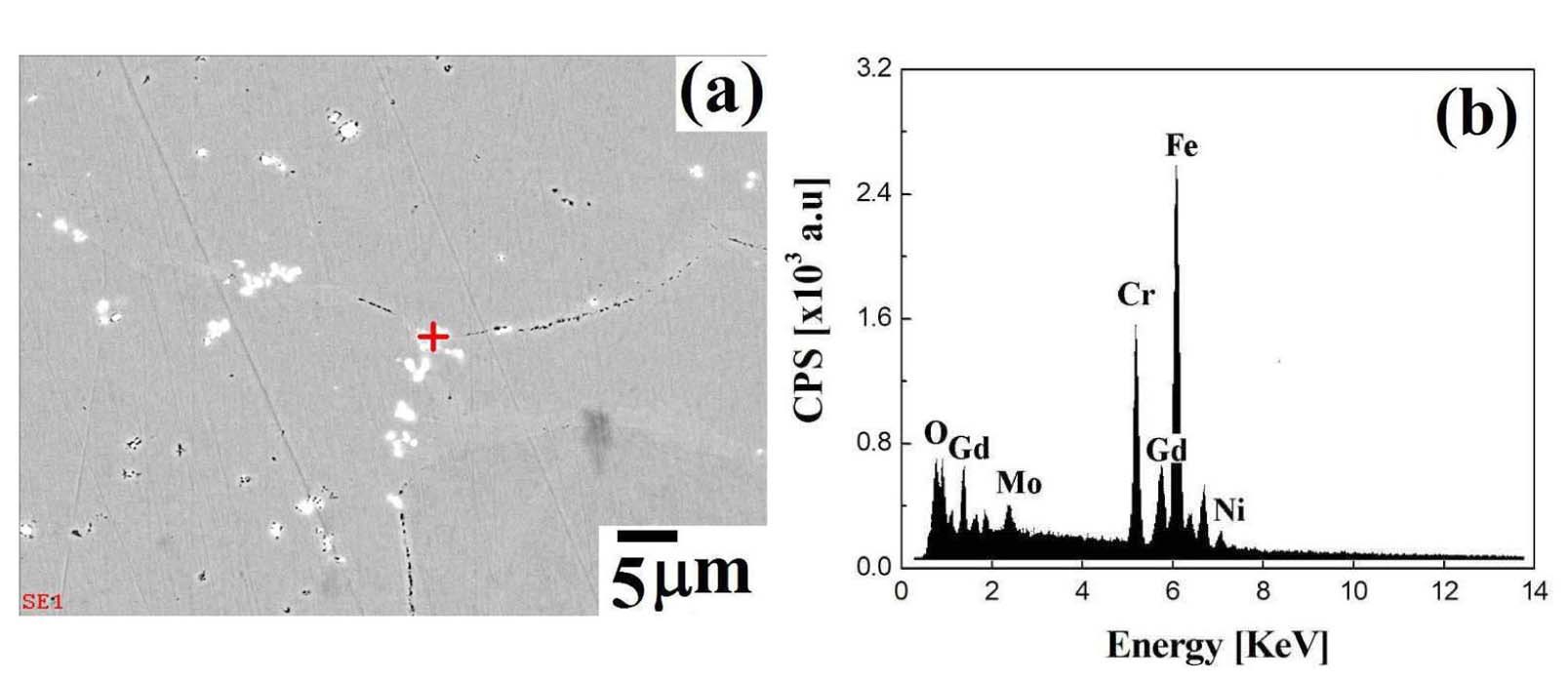 SEM Image and EDX Spectra of the Precipitates at the Grain Boundary of as-cast Specimen.