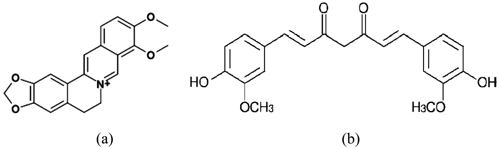Representative chemical structures of berberine (a) and curcumin
(b) in Coptis and Curcuma.