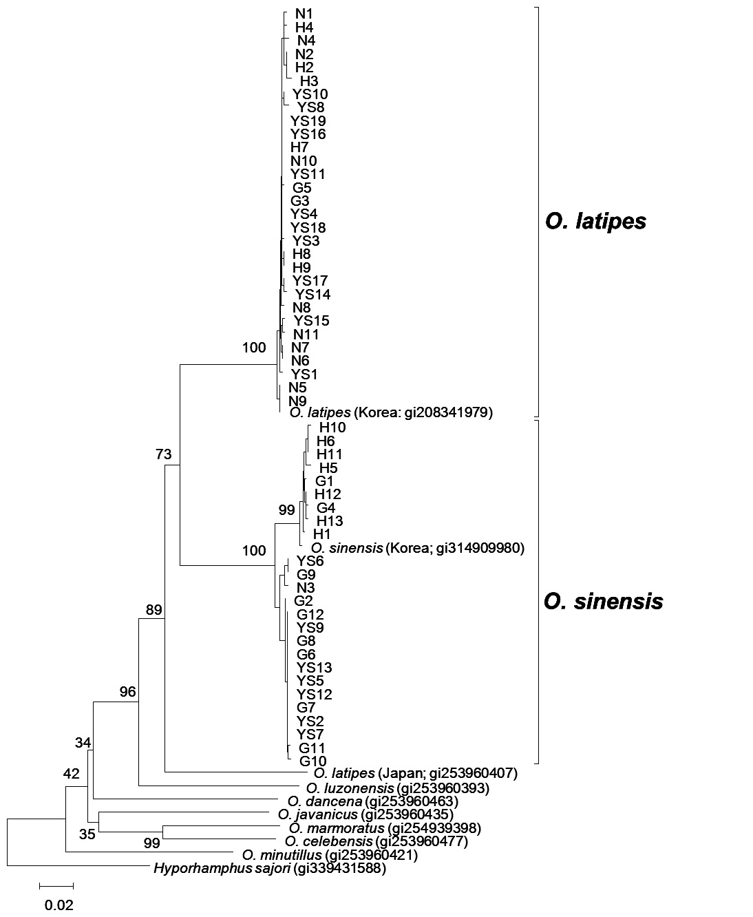 Molecular phylogeny of Oryzias species using the Neighbor-joining method in MEGA5.