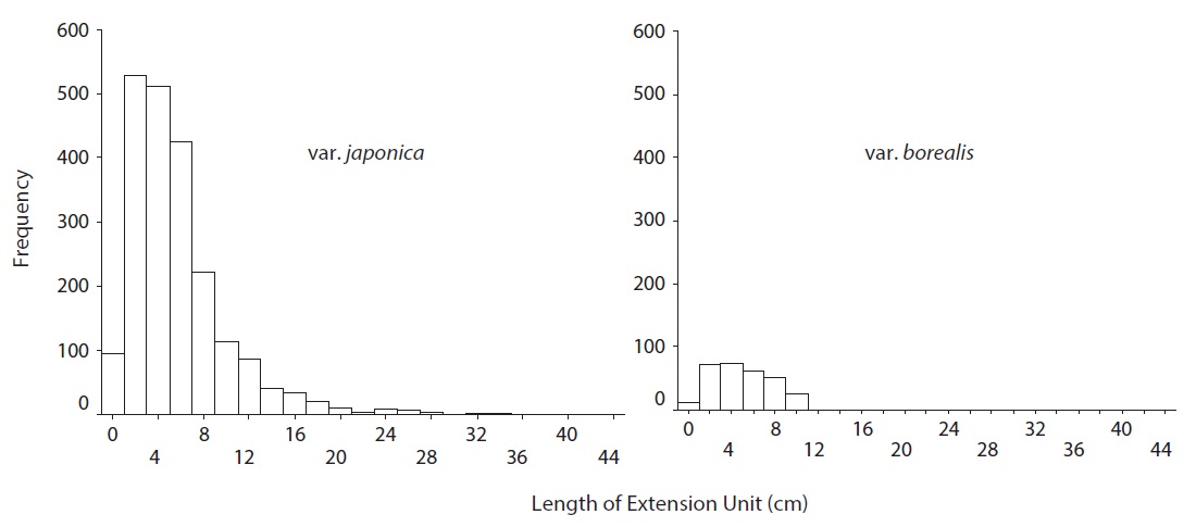 Comparison of EU length between the two varieties of Aucuba japonica. To minimize any temporal effect on EU length we measured EUs only on
clumps in mature crowns. N = 500 for var. japonica and N = 300 for var. borealis respectively.