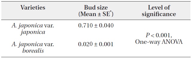 Comparison of terminal reproductive bud size (cm3) between varieties of Aucuba japonica