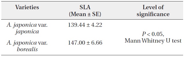 Comparison of Specific Leaf Area (SLA) (cm2/g) between varieties of Aucuba japonica