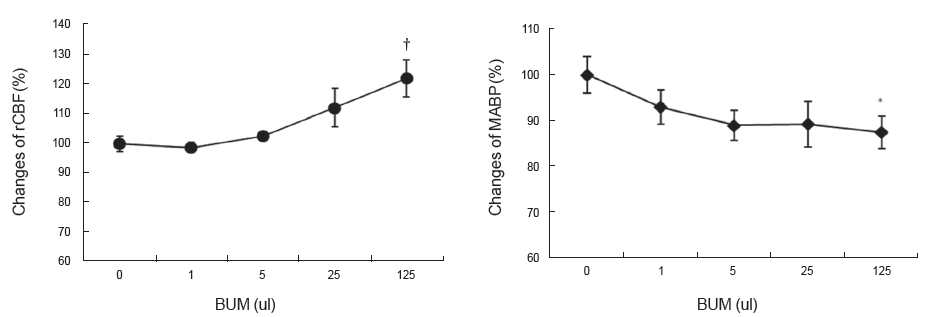 Effect of BUM on the rCBF response in cerebral ischemic rats. Right middle cerebral artery occlusion was exerted for 120 min; then,
reperfusion was exerted (▲, refusion; control group, non-treated group; BUM Group, group treated with BUM 25 ul; rCBF, regional cerebral blood
flow. *Statistically significant compared with the control group (P < 0.05).
