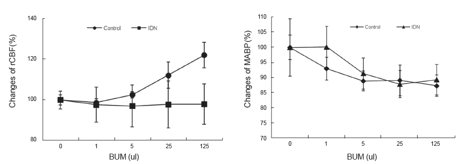 Effects of pretreatment with indomethacin on the (A) rCBF and the (B) MABP when BUM is administered in normal rats. The data are
expressed as means ± SEs (n = 8/group). Control is non-treated group; IDN is the indomethacin (1-mg/kg, intraperitoneal)-treated group; rCBF
means regional cerebral blood flow; MABP is mean arterial blood pressure.