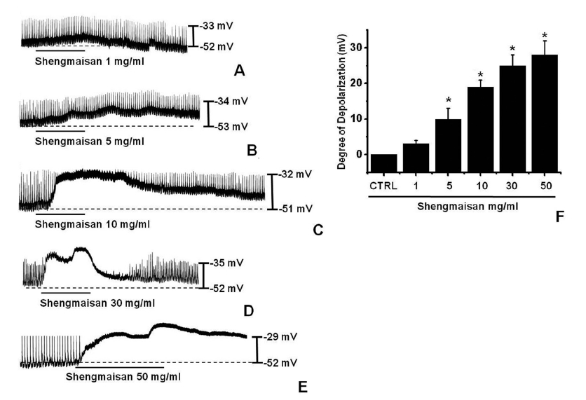 Effects of SMS on pacemaker potentials in cultured ICCs from murine small intestine. A-E: After the primary ICCs culture in
the mouse small intestine, various dose of SMS (1 to 50 mg/mL) were applied in a bath and the membrane potentials in current clamp
mode (I = 0) were estimated. Responses to SMS are summarized in F. Bars represent mean values ± S.E. *P < 0.01, indicating a significant
difference from the untreated control. CTRL: Control.