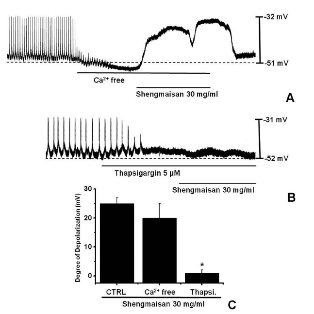 Effects of an external Ca2+-free solution or thapsigargin, a Ca2+-ATPase inhibitor of endoplasmic reticulum on SMS-induced
pacemaker potentials in cultured ICCs. A: The external Ca2+-free solution stopped the generation of pacemaker potentials. Under these
conditions, SMS (30 mg/ml)-induced membrane depolarizations were produced. B: Thapsigargin (5 μM) stopped the generation of
pacemaker potentials and thapsigargin blocked the SMS (30 mg/ml)-induced membrane depolarizations. C: The responses to SMS
in the external Ca2+-free solution and in the presence of thapsigargin are summarized. Bars represent the mean values ± S.E. *P < 0.01,
indicating a significant difference from the untreated control. CTRL: Control.