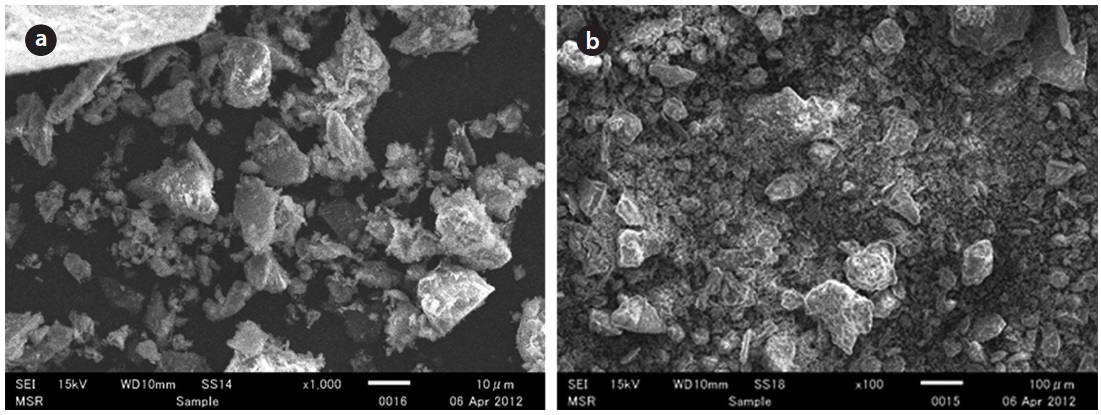 Scanning electron microscopy image of iron mixed ceramic pellet (IMCP): (a) unused IMCP and (b) after 120 hr of adsorption of arsenic by IMCP.