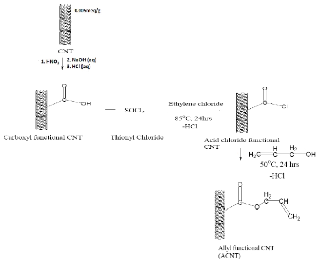 Schematic procedure for the synthesis of ACNT.