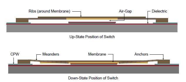 Operation principle of proposed switch in up and down states.