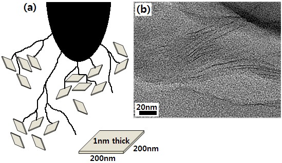 (a) Barrier effect of silicate monolayers on the electrical treeing
growth and (b) cross-sectional TEM image of the exfoliated silicate
monolayers.