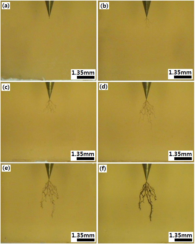 Morphology of electrical tree corresponding to photos (a)-(f)
was collected during HV (10 kV/4.2 mm, 60 Hz) applied at 130℃ for
(a) 12 min, (b) 30 min, (c) 180 min, (d) 1,140 min, (e) 2,520 min, and (f)
11,790 min in the epoxy/layered silicate (1.5 wt%) system.