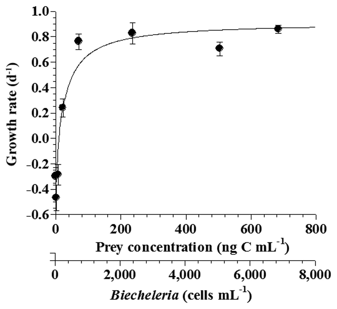 Specific growth rates of the ciliate Strobilidium sp. on the
mixotrophic dinoflagellate Biecheleria cincta as a function of mean
prey concentration (x). Symbols represent treatment means ± 1 SE.
The curves are fitted according to the Michaelis-Menten equation [Eq.
(2)] using all treatments in the experiment. Growth rate (d-1) = 0.910
{(x - 11.8)/[34.8 + (x - 11.8)]}, r2 = 0.911.