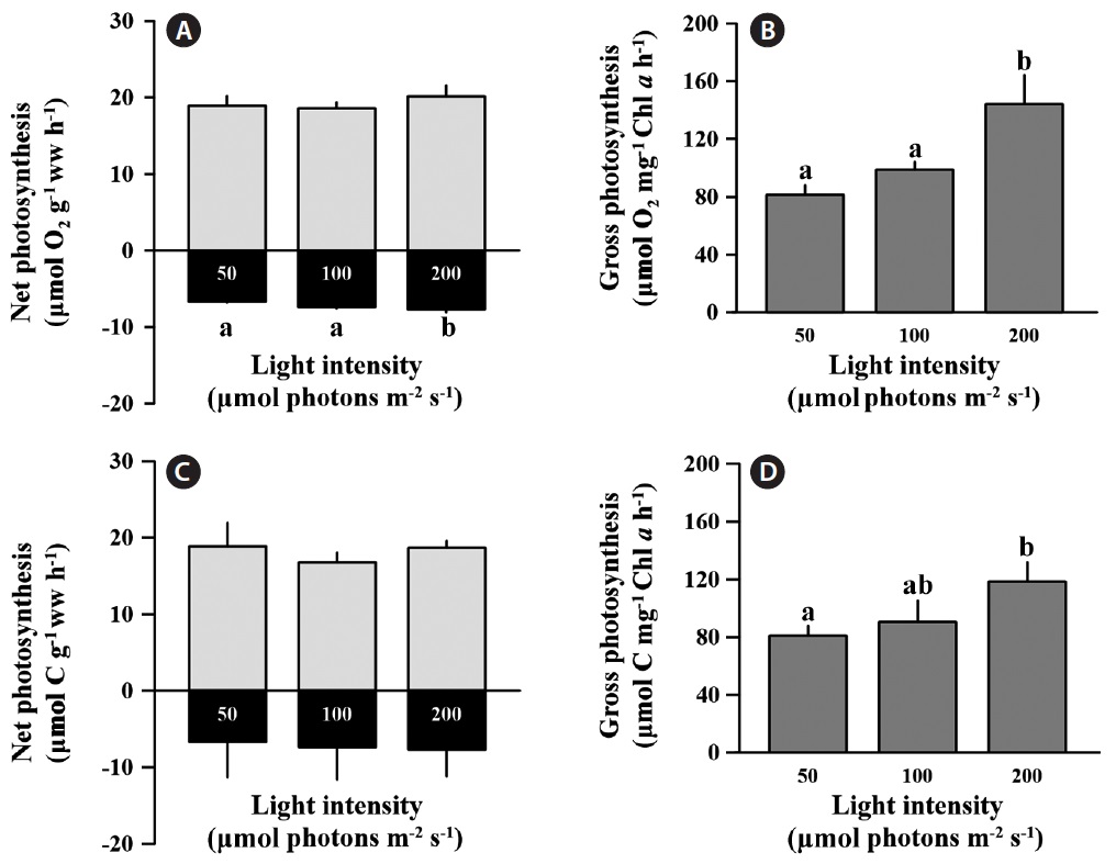 Wet weight based photosynthesis and respiration rates (A, C) and chlorophyll a (Chl a) based gross photosynthetic rate (B, D) of Corallina officinalis after 10 days exposure to three light levels (50, 100, and 200 μmol photons m-2 s-1). Photosynthesis and respiration were measured by oxygen production and consumption (A, B) and inorganic carbon uptake and release (C, D). Different letters indicates significant differences between treatments at each species based on Tukey’s multiple-comparison (p < 0.05). Error bars show the standard deviation.