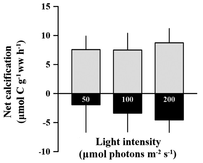 Calcification (light cycle) and dissolution (dark cycle) rate of Corallina officinalis after 10 days exposure to three light levels (50, 100, and 200 μmol photons m-2 s-1). Different letters indicates significant differences between treatments at each species based on Tukey’s multiple-comparison (p < 0.05). Error bars show the standard deviation.